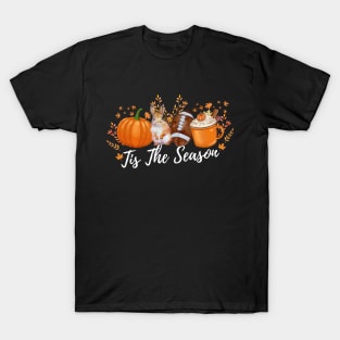 Tis The Season Fall Pumpkin Cute Football Mom T-Shirt